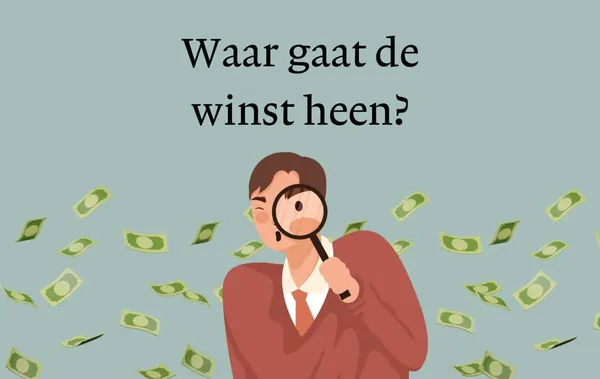 Illustratie bij artikel: Een winstgevend bedrijf, maar toch geen goede belegging