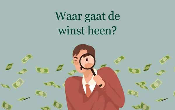 Illustratie bij artikel: Een winstgevend bedrijf, maar toch geen goede belegging